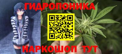 шишки Набережные Челны