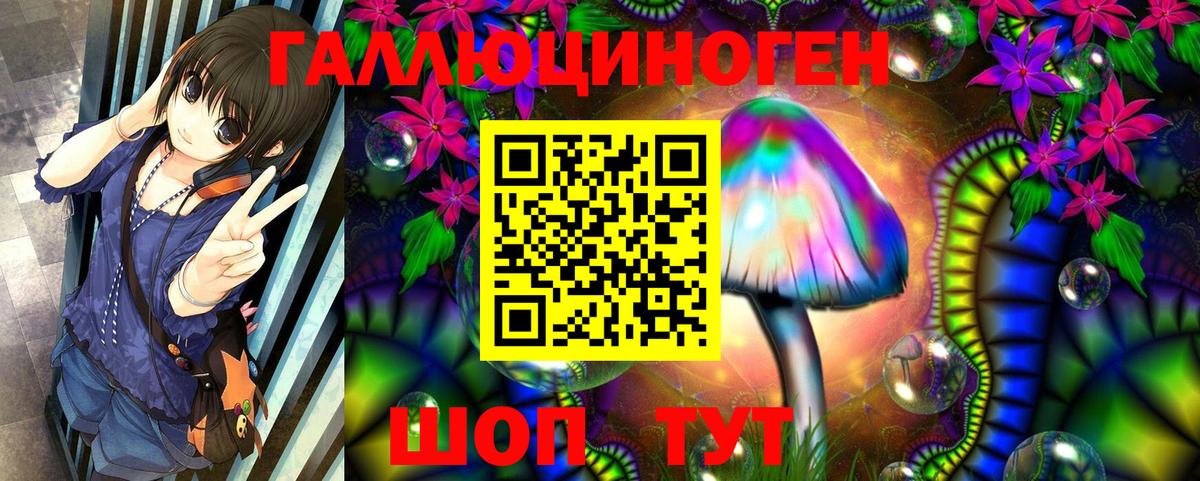 Галлюциногенные грибы GOLDEN TEACHER  Псилоцибиновые грибы Cubensis  Кинель  Вход с VPN 