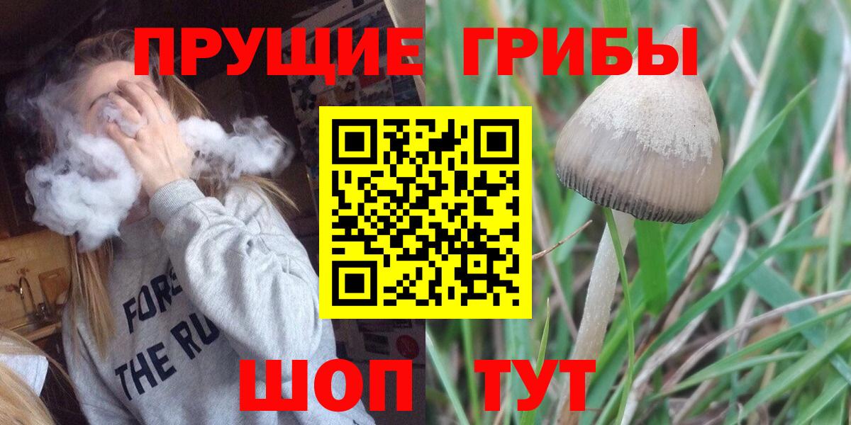 Галлюциногенные грибы Cubensis Кинель